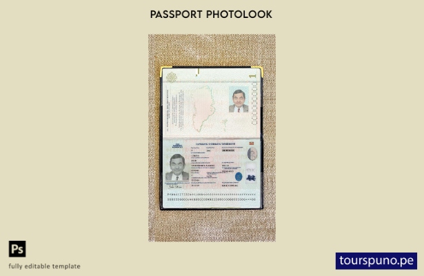 listo para imprimir la plantilla de presentación fotográfica del pasaporte de Di